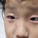 신세계천연비누 | 태양솝 천연비누 3종 솔직 후기