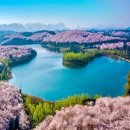 양안농장 이미지