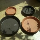 주암동농장 이미지