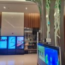 라라호텔 이미지