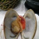 우연한발견 이미지