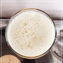 [맥주] 체코 맥주, 부데요비츠키 부드바르 맥주 시음후기