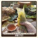 중부기사식당 | 푸꾸옥 중부 한국인 맛집 메오키친 | 웨이팅 없이 들어간 현지 식당 반쎄오 쌀국수 새우롤튀김 솔직후기