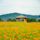 별빛세모