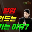 암, 당뇨, 혈압 등 질병을 만드는 염증이 생기는 이유? 이미지