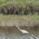 다대포해수욕장역 이미지