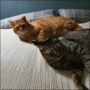 계룡산호텔 이미지