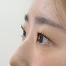 화명동 속눈썹펌&왁싱 오늘의 뷰티 | 화명동속눈썹펌 추천 속쌍커플 후기 엠블리뷰티