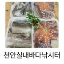 원실내바다낚시터 | 실내에서 만나는 바다 낚시의 진짜 매력 천안실내바다낚시터 후기