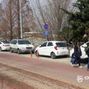 야성초등학교 앞 이미지