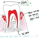 괴정수석치과의원 이미지