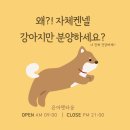 은아펫타운