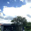 비자림스마일 | 제주도 EP7. 커피템플 재방문, 조천읍 숨겨진 산책명소 추천 “동백동산”