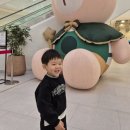 안추곤 | [클래스콕 운정 트니트니플러스] 33개월 아들 수업 후기