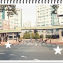 동탄숲속마을8단지앞 공원 이미지