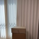 이에프이(압소바)롯데백화점강남점 | 오빠돈내산, 25년형 에그z플러스 구매후기