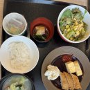 평안파출소옆 육교밑 | 10월 24일 금요일, 도쿄 2일차 (도쿄&gt;하코네 이동)