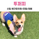 투퍼피 이미지
