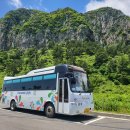 이동-16 | 제주도 미니버스 기사포함 렌트 후기 ｜16인승 쏠라티 단체 이동 추천