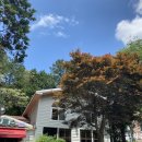 상록수체육관 다목적체육관 이미지