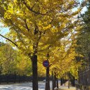 홍촌마애승상 이미지