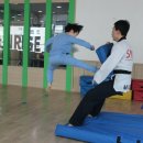 선라이즈 태권도 이미지