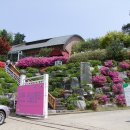 리스캐빈 이미지