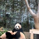 알콩달콩 이미지