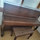 교방동118 이미지