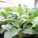 희정농장 이미지