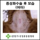 진정훈동물병원 이미지