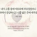 118:5 네이버블로그