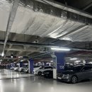 메디칼 세븐(7) 이미지