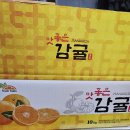 맛있는 제주 귤 🍊 엄청 저렴하게 할인판매합니다 ! ^^ 이미지