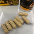 주식회사 생기의집 | 건기남이 보증하는 브라질 그린프로폴리스, 프로폴리스 영양제 추천