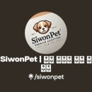 시원애견 이미지