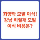 한미성형외과의원 | 최양락 모발 이식! 강남 비절개 모발이식 비용은?