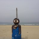 대게풍년 이미지