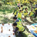 용소막농장 이미지