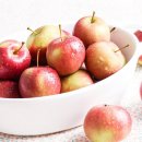 창조영농조합법인 이미지