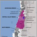 빈야드10(vineyard10) | [칠레 와인 추천] 1865 SINGLE VINEYARD SYRAH 2017; 1865 싱글 빈야드 시라, 2017