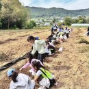 해든태권도장 이미지