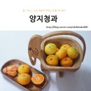 양지청과 이미지