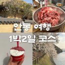 대림3길 9, (문화동) | 안동 1박2일 여행코스 | 안동 맛집 카페 핫플 완벽 정리