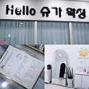 헬로우왁싱