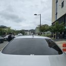 더모터스 이미지