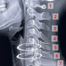 강남퍼스트재활의학과의원 이미지