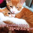 은영농장 이미지