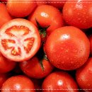 헬스보이짐 이미지