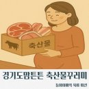 [육아정보/경기도맘튼튼 축산물 꾸러미 지원사업] 축산물지원/축산물꾸러미/신청기간/신청방법